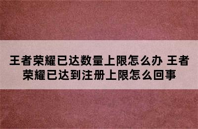 王者荣耀已达数量上限怎么办 王者荣耀已达到注册上限怎么回事